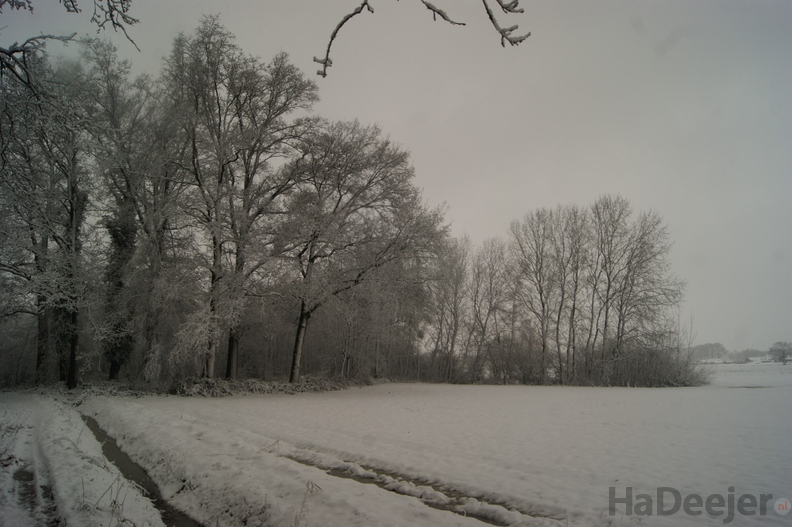 171210-PK-sneeuwval in Heeswijk-_7_.JPG